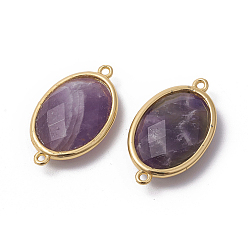 Amethyst Golden Tone Brass Amethyst Links connectors, Faceted, Oval, 26x15x6mm, Hole: 1~2mm