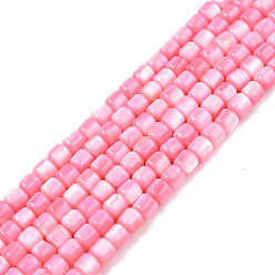 Pink Естественных пресноводных оболочки бисер нитей, окрашенные, колонка, розовые, 3.5x3.5 мм, отверстие : 0.8 мм, около 110~113 шт / нитка, 14.69 дюйм ~ 15.08 дюйм (37.3~38.3 см)