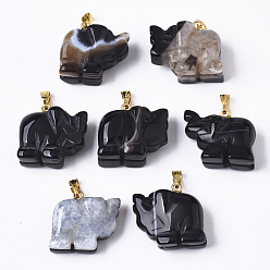 Noir Pendentifs en agate, avec métal plaqué or (livraison aléatoire de matériaux en laiton ou en fer) encliquetables sur les bails, teint, éléphant, noir, 17~19x20~22.5x11.5~12.5mm, Trou: 2.5x6mm