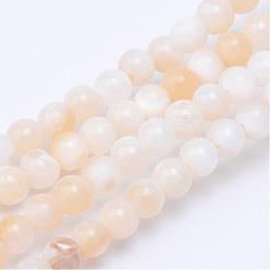 Blanched Almond Natural Freshwater Shell Bead Strands, Round, Blanched Almond, 4.5mm, Hole: 1mm, about 86pcs/strand, 14.76 inch