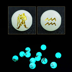 Verseau Perles de verre de style lumineux, brillent dans les perles sombres, rond avec motif douze constellations, Verseau, 10mm