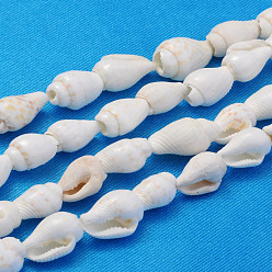 Blanc Brins de perles de coquille de trompette naturelles, blanc, 6~13x4~8.5mm, Trou: 0.5~1mm, Environ 115~160 pcs/chapelet, 37.01~50 pouce
