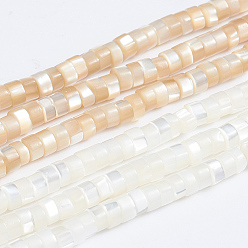 Mixed Color Natural Trochid Shell/Trochus Shell Beads Strands, Column, Mixed Color, 3.5~4x2~2.5mm, Hole: 0.8mm, about 176pcs/strand, 15.94 inch(40.5cm)