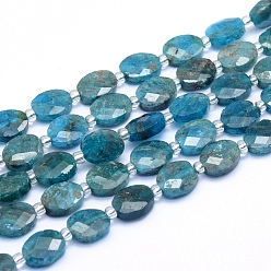 Apatite Natural Apatite Beads Strands, Faceted, Oval, 9~10x7~8x3.5~4mm, Hole: 1mm, about 35pcs/strand, 15.55 inch(39.5cm)