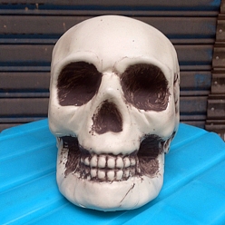 Dentelle Vieille Décoration d'affichage sur le thème d'halloween, statue de crâne en résine, vieille dentelle, 130x190x150mm