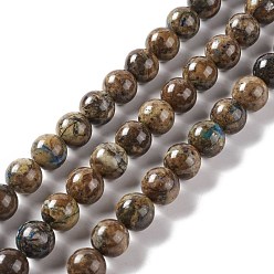 Chrysocolle Chapelets de perles chrysocolla naturelles , ronde, 10mm, Trou: 1mm, Environ 39 pcs/chapelet, 15.35'' (39 cm)