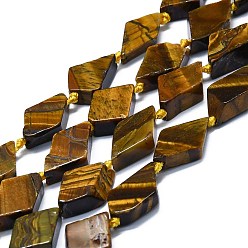 Œil De Tigre Chapelets de perles oeil de tigre naturelles, losange, 15~17x9~11x3~6mm, Trou: 1.5mm, Environ 24 pcs/chapelet, 16.54'' (42 cm)