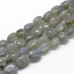 Labradorite Natural Labradorite Beads Strands, Oval, 8~15x7~12x4~12mm, Hole: 1mm, about 30~45pcs/strand, 15.7 inch