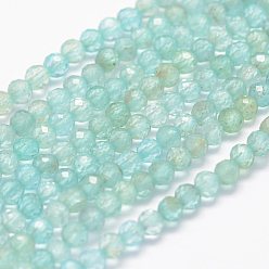 Apatite Natural Apatite Beads Strands, Faceted, Round, 3mm, Hole: 0.5~0.6mm, about 144~151pcs/strand, 15.3~15.7 inch(39~40cm)