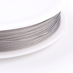 Raw Fil de queue de couleur d'origine (brut), acier inoxydable revêtu de nylon, cru, environ 0.38 mm de diamètre, 80m/rouleau