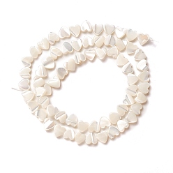 Seashell Color Natural Trochid Shell/Trochus Shell Beads, Peach Heart, Seashell Color, 6.5x6.5x2~2.5mm, Hole: 0.8mm, about 67pcs/strand, 17.15 inch(43.55cm)