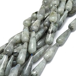 Labradorite Natural Labradorite Beads Strands, Waterdrop, 30x10mm, Hole: 1.4mm, about 13pcs/strand, 15.75''(40cm)