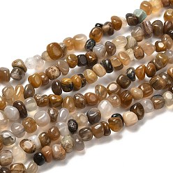 Pétrifié En Bois Naturelles pétrifiés perles de bois brins, pierre tombée, nuggets, 5~11x3~8x1~7mm, Trou: 1mm, 33.85~35.43 pouce (86~90 cm)