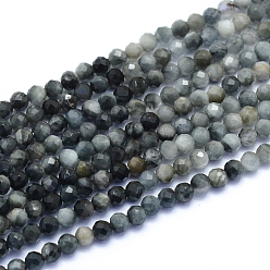 Eagle Eye Stone Natural Hawk's Eye Beads Strands, Eagle Eye Stone, Faceted, Round, 3mm, Hole: 0.6mm, about 128pcs/strand, 15.16 inch(38.5cm)
