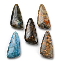 Piedra Mixta Colgantes de piedras preciosas naturales mezclados, triángulo, 46x21~23x8.5~9 mm, agujero: 1.5 mm