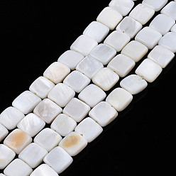 Concha de Agua Dulce Cuentas de concha de perla natural hebras, plaza, 8x8x3 mm, agujero: 0.9 mm, sobre 48 unidades / cadena, 15.16 pulgada (38.5 cm)