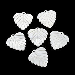 Seashell Color Natural Freshwater Shell Pendants, Leaf Charms, Seashell Color, 27x27x1.5~2mm, Hole: 1.6mm