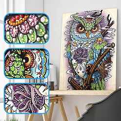 Owl DIY Birds Theme Diamond Painting Kits, Including Canvas, Resin Rhinestones, Diamond Sticky Pen, Tray Plate and Glue Clay, Owl Pattern, 400x300mm