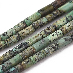 Turquoise Africaine Brins de perles turquoises africaines naturelles (jaspe), colonne, 4x2mm, Trou: 0.6mm, Environ 90 pcs/chapelet, 15.75 pouce (40 cm)
