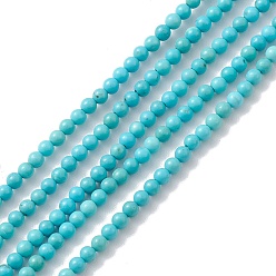 Turquoise Natural Howlite Beads Strands, Dyed, Round, Turquoise, 2~3mm, Hole: 0.4~0.5mm, about 154~162pcs/strand, about 15 inch