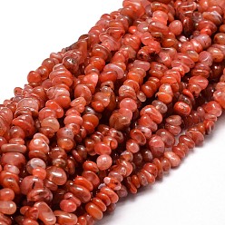 Красный Агат Окрашенные нити бисера из натурального сердолика, 5~14x4~10 мм, отверстие : 1 мм, около 15.5 дюйм ~ 16.1 дюйм