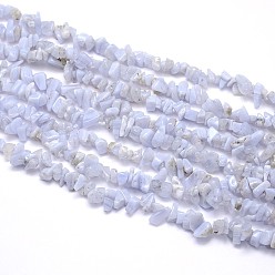 Blue Lace Agate Natural Blue Lace Agates Strands, Chips, 5~8x5~8mm, Hole: 1mm, about 31.5 inch