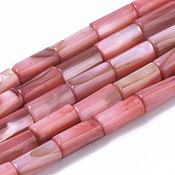 Light Coral Natural Freshwater Shell Beads, Dyed, Column, Light Coral, 10x4.5mm, Hole: 0.9mm, about 36pcs/Strand, 14.17 inch(36 cm)
