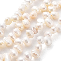 Seashell Color Natural Cultured Freshwater Pearl Beads Strands, Rice, Seashell Color, 6.5~8x5~5.5mm, Hole: 0.5mm, about 72pcs/strand, 13.82''(35.1cm)