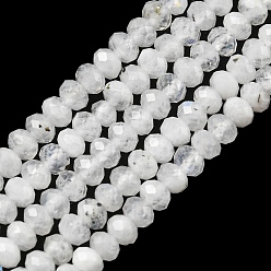 Rainbow Moonstone Natural Rainbow Moonstone Beads Strands, Faceted Rondelle, 3x2mm, Hole: 0.6mm, about 163pcs/strand, 15.47 inch(39.3cm)
