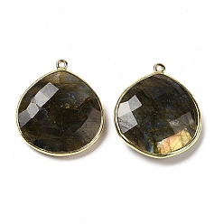 Labradorite Natural Labradorite Pendants, with Golden Brass Edge, Faceted, Undyed, Teardrop, 28x25x6mm, Hole: 1.6mm