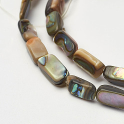 Paua Shell Natural Paua Shell Beads Strands, Rectangle, 8~11x5x3~4mm, Hole: 1mm, about 38pcs/strand, 15.7 inch(40cm)