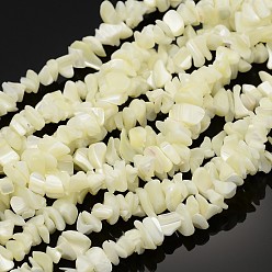Blanc Chapelets de perles de coquillage naturel, nacré, puces, blanc, 8~14mm, Trou: 0.5~0.6mm, Environ 244 pcs/chapelet, 35 pouce
