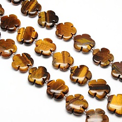 Gold Natural Tiger Eye Flower Beads Strands, Gold, 20x6.5mm, Hole: 1mm, about 20pcs/strand, 15.74 inch