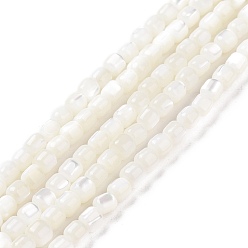 Blanco Hebras de cuentas de concha de trochus natural, teñido, columna, blanco, 3.5x3.5 mm, agujero: 0.8 mm, sobre 113 unidades / cadena, 15.59'' (39.6 cm)