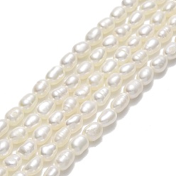 Lino Hilos de perlas de agua dulce cultivadas naturales, arroz, lino, 5~5.5x3.5~3.8 mm, agujero: 0.5 mm, sobre 70~71 unidades / cadena, 14.96'' (38 cm)