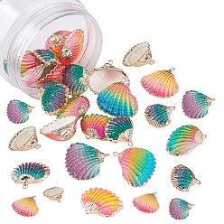 Mixed Color Spray Paint & Electroplate Natural Sea Shell Pendants, with Iron Findings, Mixed Color, 19~28x20~30x7~11mm, Hole: 2mm, 3 Colors, 8pcs/color, 24pcs/box