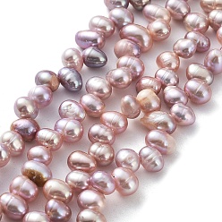 Thistle Natural Cultured Freshwater Pearl Beads Strands, Rice, Thistle, 6.5~8x5~5.5mm, Hole: 0.5mm, about 72pcs/strand, 13.82''(35.1cm)
