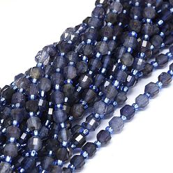 Iolite Natural Iolite Beads Strands, with Seed Beads, Faceted, Bicone, Double Terminated Point Prism Beads, 5~7x6mm, Hole: 0.8mm, about 48pcs/strand, 15.55 inch(39.5cm)