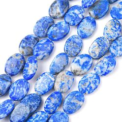 Lapis Lazuli Natural Lapis Lazuli Beads Strands, Flat Oval, 14x10x4~5mm, Hole: 0.7mm, about 28~29pcs/strand, 15.35''~15.55'(39~39.5cm)