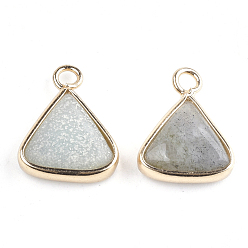 Labradorite Natural Labradorite Pendants, with Brass Findings, Triangle, Golden, 16~16.5x12.5x5mm, Hole: 2mm