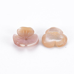 Pink Shell Natural Pink Shell Beads, Flower, 10x10x3mm, Hole: 1mm