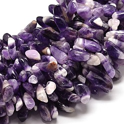 Amethyst Natural Amethyst Nuggets Bead Strands, 14~27x5~13mm, Hole: 1mm, 16 inch
