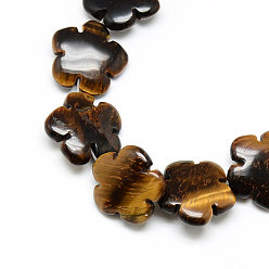 Tiger Eye Natural Tiger Eye Bead Strands, Flower, 15.5~16x16x6mm, Hole: 1mm, about 25pcs/strand, 15.1 inch