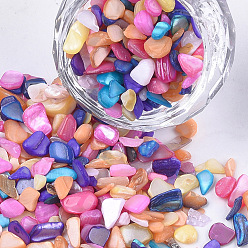 Colorful Shell Beads, For Nail Art Decoration Accessories, No Hole/Undrilled, Dyed, Chips, Colorful, 2~13x2~5x0.5~4mm, about 450g/bag