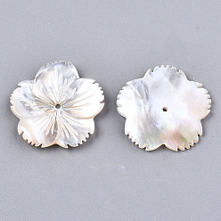 Ivoire Coquille de nacre blanche naturelle, sculpté, fleur, blanc crème, 24x24x2~3mm, Trou: 1.2mm