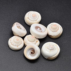 PapayaWhip Natural Shiva Eye Shell Beads, PapayaWhip, 17~20x6~13mm, Hole: 1mm, about 127pcs/500g