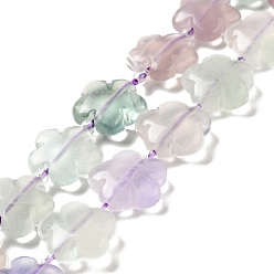 Fluorita Perlas naturales fluorita hebras, 5-pétalo de flor, 14~15x14~15x6~7 mm, agujero: 1.2 mm, sobre 27 unidades / cadena, 16.14'' (41~44.5 cm)