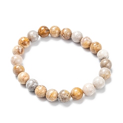 Fossil Coral Natural Fossil Coral Stretch Beaded Bracelets, Round, Inner Diameter: 2-1/8 inch(5.5cm), Beads: 8~9mm