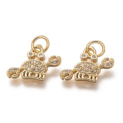 Golden Brass Micro Pave Clear Cubic Zirconia Charms, Long-Lasting Plated, with Jump Ring, Crab, Golden, 10x14x2mm, Jump Ring: 5x1mm, 3mm Inner Diameter