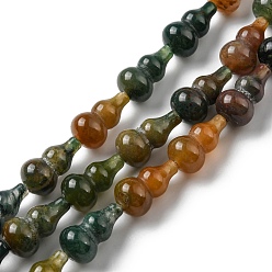 Agate Indienne Naturelles agate indienne brins de perles, gourde, 17.5~18.5x9.5~10mm, Trou: 1.2mm, Environ 23~24 pcs/chapelet, 16.14~16.34 pouce (41~41.5 cm)